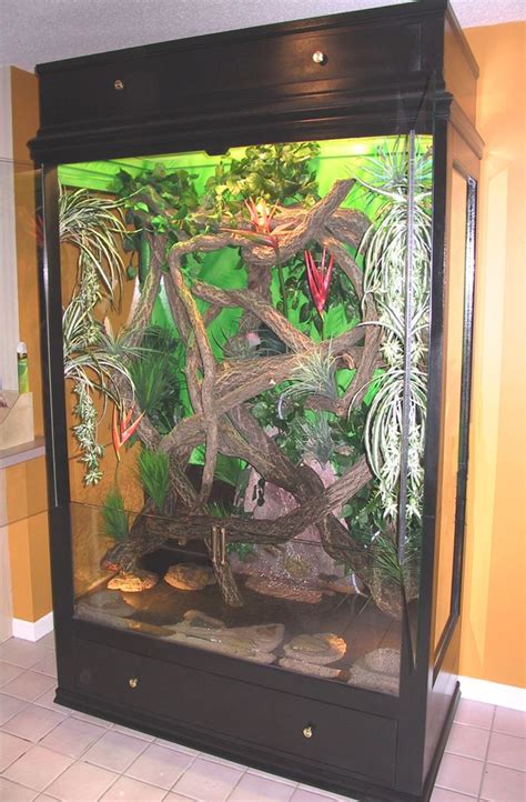 iguana custom|custom iguana enclosure.